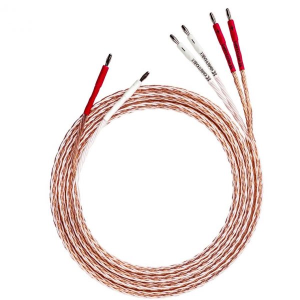 8TC Pair - Image 3