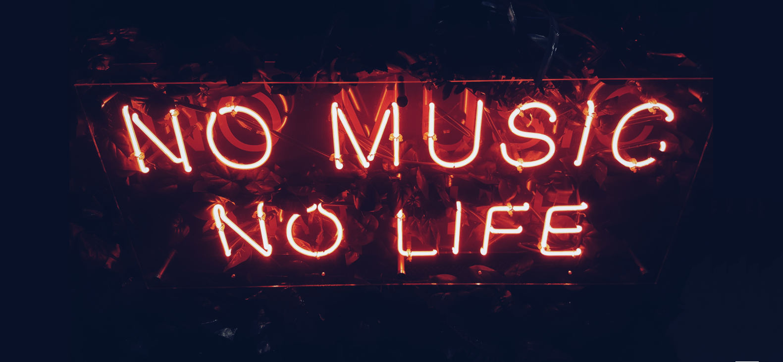 no music no life2